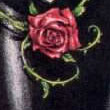 ennlj123
