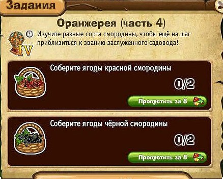 оранжерея часть 4