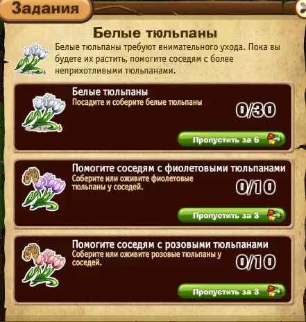 белые тюльпаны запорожье
