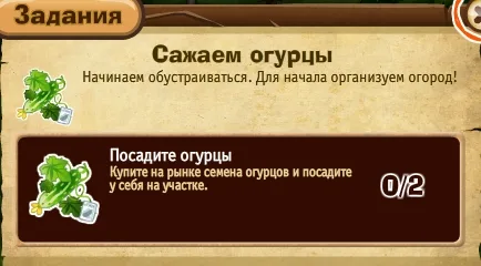Запорожье - сажаем огурцы