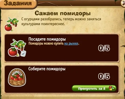 Запорожье - сажаем помидоры