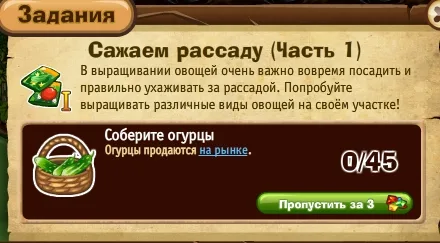 сажаем рассаду часть 1
