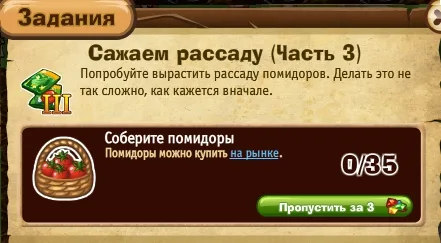 сажаем рассаду часть 3